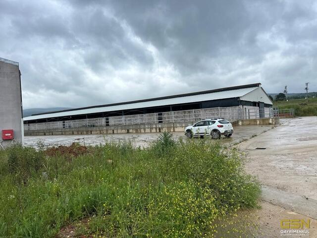 23-GSN GAYRİMENKUL'DEN AVRUPA STANDARTLARINDA RUHSATLI BESİÇİFTLİĞİ